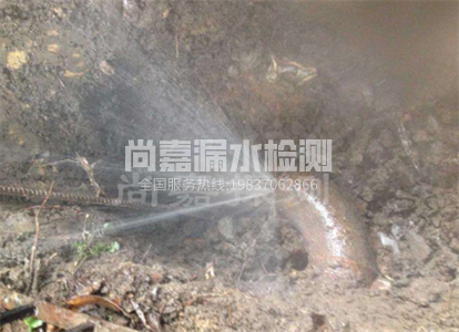 中和镇暖气管道漏水检测